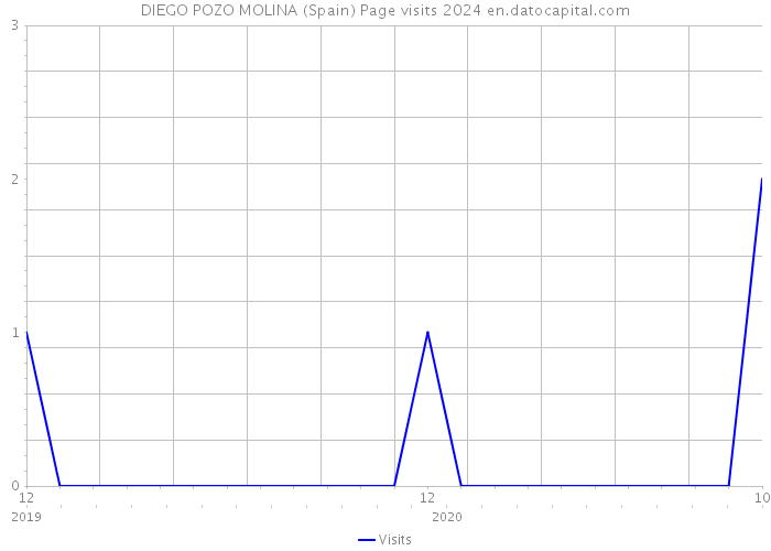 DIEGO POZO MOLINA (Spain) Page visits 2024 
