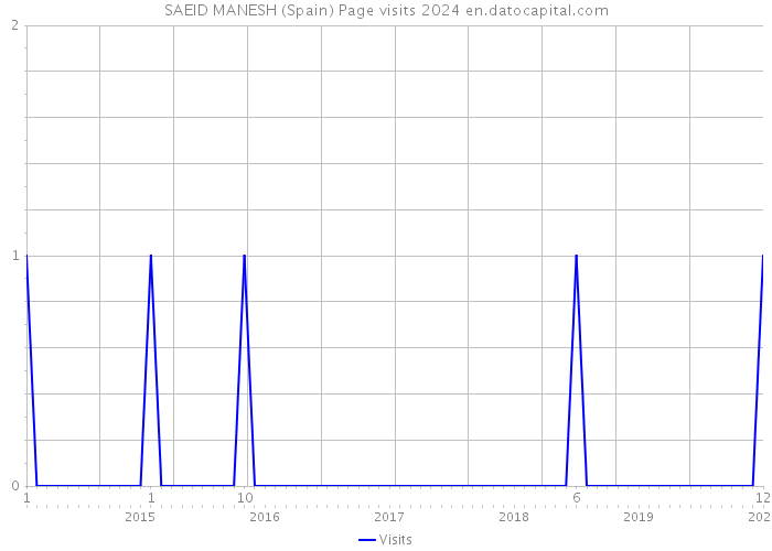 SAEID MANESH (Spain) Page visits 2024 