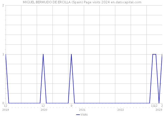 MIGUEL BERMUDO DE ERCILLA (Spain) Page visits 2024 