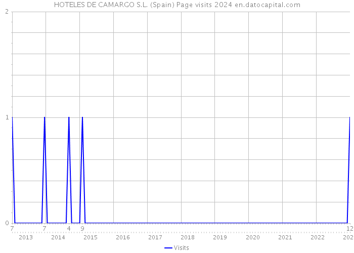 HOTELES DE CAMARGO S.L. (Spain) Page visits 2024 