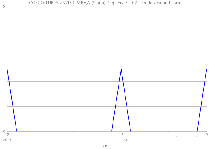 COZCOLLUELA XAVIER PAREJA (Spain) Page visits 2024 