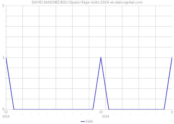DAVID SANCHEZ BOU (Spain) Page visits 2024 
