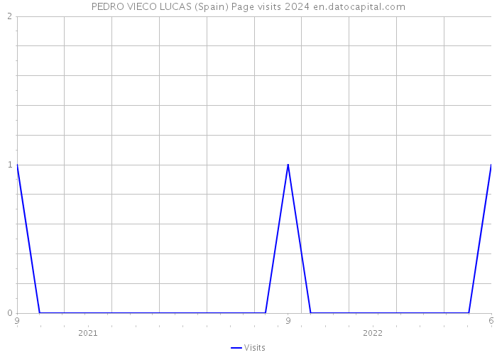 PEDRO VIECO LUCAS (Spain) Page visits 2024 