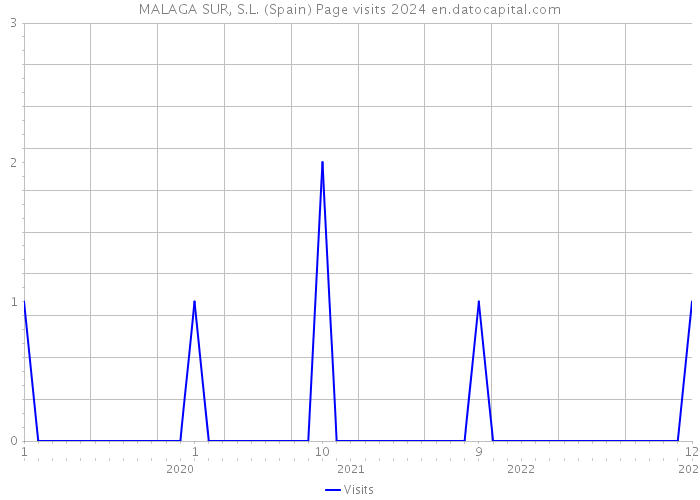 MALAGA SUR, S.L. (Spain) Page visits 2024 