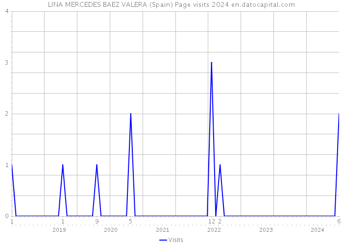 LINA MERCEDES BAEZ VALERA (Spain) Page visits 2024 