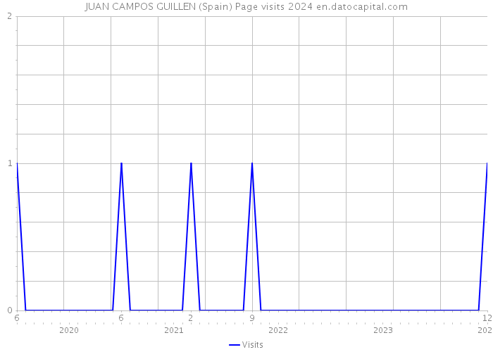 JUAN CAMPOS GUILLEN (Spain) Page visits 2024 