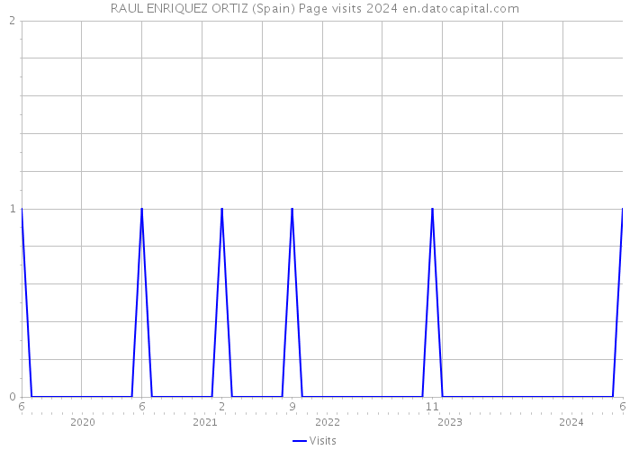 RAUL ENRIQUEZ ORTIZ (Spain) Page visits 2024 