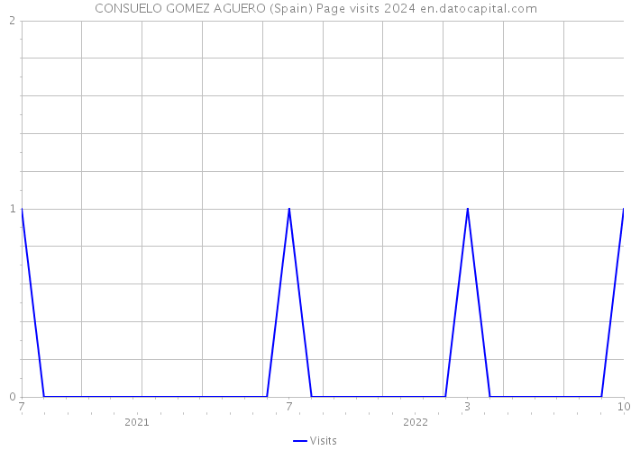 CONSUELO GOMEZ AGUERO (Spain) Page visits 2024 