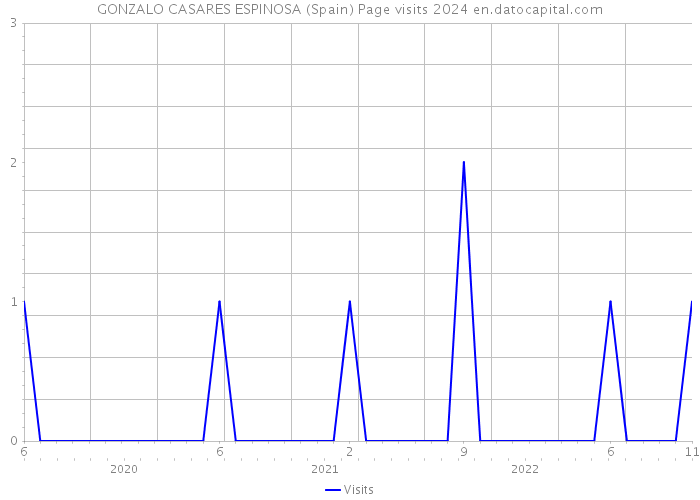 GONZALO CASARES ESPINOSA (Spain) Page visits 2024 