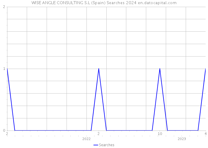 WISE ANGLE CONSULTING S.L (Spain) Searches 2024 