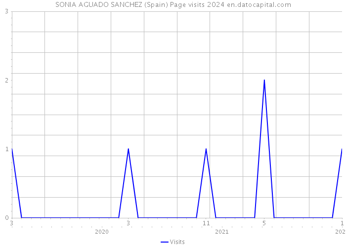 SONIA AGUADO SANCHEZ (Spain) Page visits 2024 