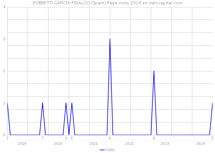 ROBERTO GARCIA FIDALGO (Spain) Page visits 2024 
