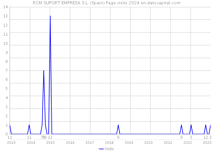 RCM SUPORT EMPRESA S.L. (Spain) Page visits 2024 