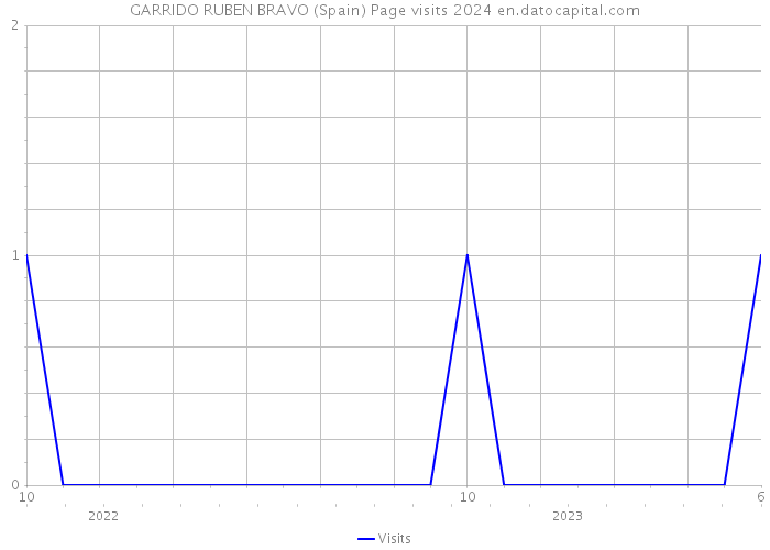 GARRIDO RUBEN BRAVO (Spain) Page visits 2024 