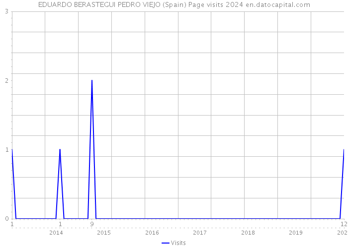 EDUARDO BERASTEGUI PEDRO VIEJO (Spain) Page visits 2024 