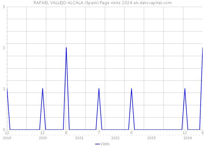 RAFAEL VALLEJO ALCALA (Spain) Page visits 2024 