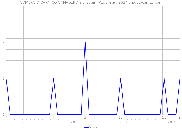 COMERCIO CARNICO GANADERO S.L (Spain) Page visits 2024 