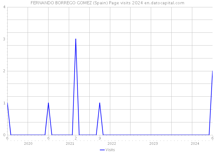 FERNANDO BORREGO GOMEZ (Spain) Page visits 2024 