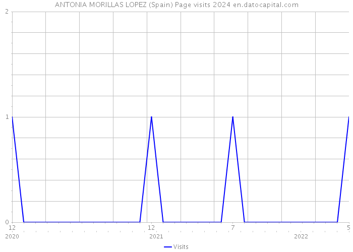 ANTONIA MORILLAS LOPEZ (Spain) Page visits 2024 