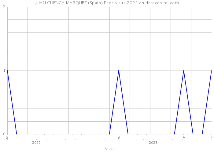 JUAN CUENCA MARQUEZ (Spain) Page visits 2024 