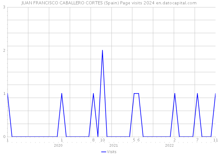 JUAN FRANCISCO CABALLERO CORTES (Spain) Page visits 2024 