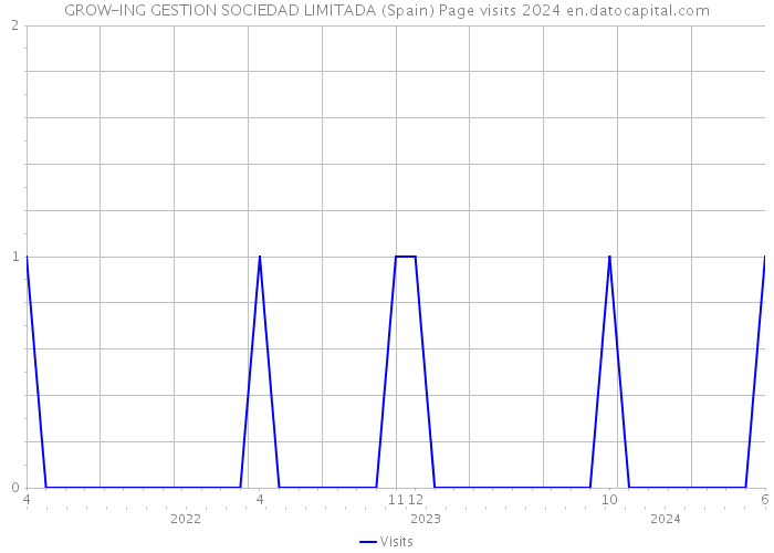 GROW-ING GESTION SOCIEDAD LIMITADA (Spain) Page visits 2024 