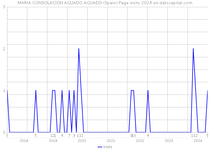 MARIA CONSOLACION AGUADO AGUADO (Spain) Page visits 2024 