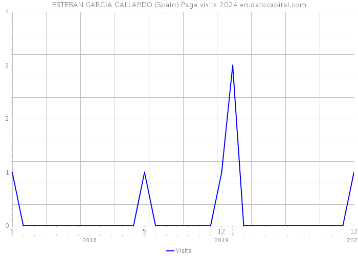 ESTEBAN GARCIA GALLARDO (Spain) Page visits 2024 