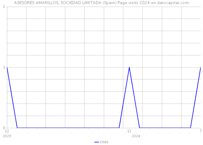 ASESORES AMARILLOS, SOCIEDAD LIMITADA (Spain) Page visits 2024 