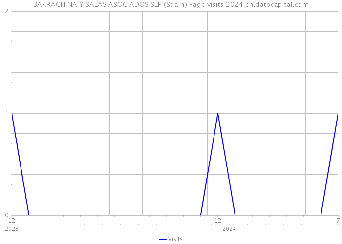 BARRACHINA Y SALAS ASOCIADOS SLP (Spain) Page visits 2024 