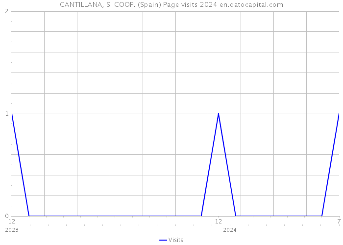 CANTILLANA, S. COOP. (Spain) Page visits 2024 