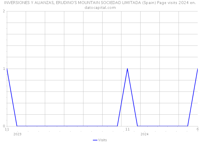 INVERSIONES Y ALIANZAS, ERUDINO'S MOUNTAIN SOCIEDAD LIMITADA (Spain) Page visits 2024 