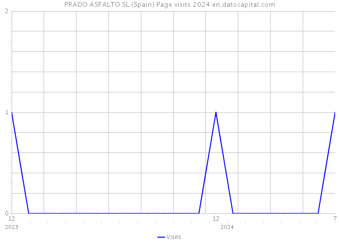 PRADO ASFALTO SL (Spain) Page visits 2024 