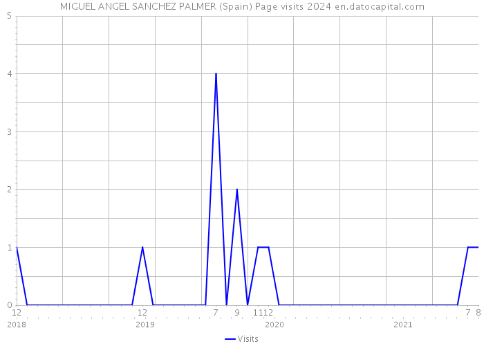 MIGUEL ANGEL SANCHEZ PALMER (Spain) Page visits 2024 