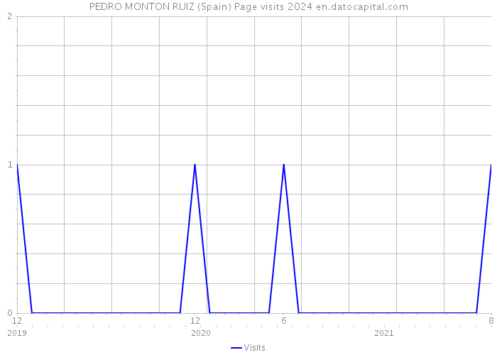 PEDRO MONTON RUIZ (Spain) Page visits 2024 