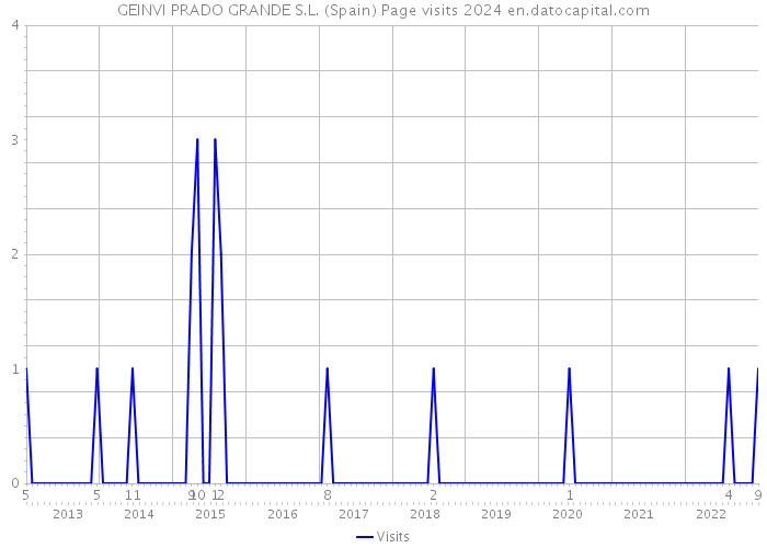 GEINVI PRADO GRANDE S.L. (Spain) Page visits 2024 