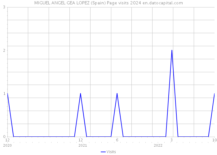 MIGUEL ANGEL GEA LOPEZ (Spain) Page visits 2024 