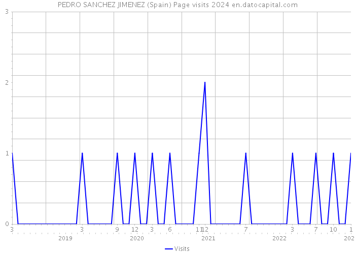 PEDRO SANCHEZ JIMENEZ (Spain) Page visits 2024 