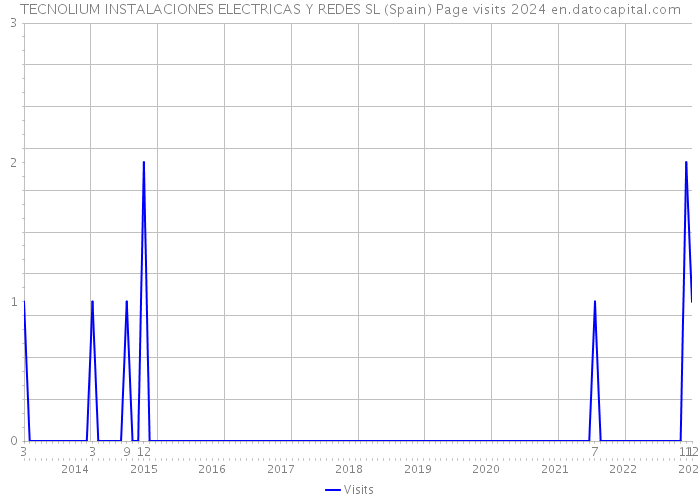 TECNOLIUM INSTALACIONES ELECTRICAS Y REDES SL (Spain) Page visits 2024 