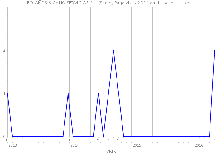 BOLAÑOS & CANO SERVICIOS S.L. (Spain) Page visits 2024 