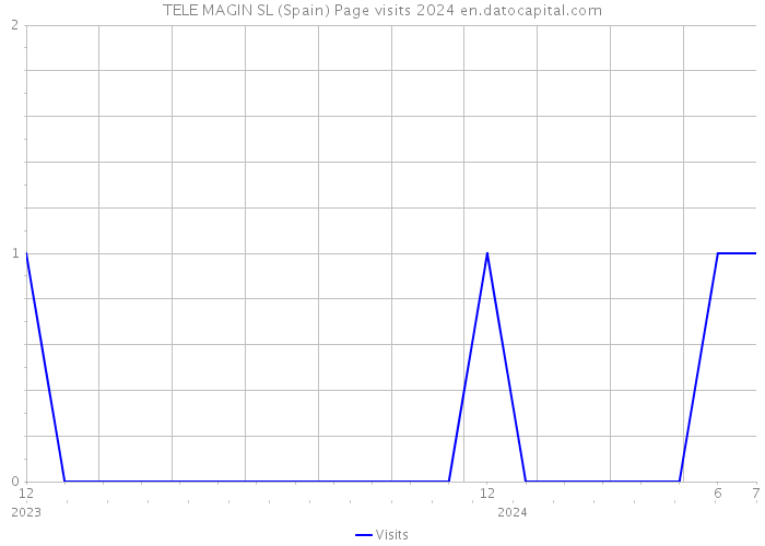 TELE MAGIN SL (Spain) Page visits 2024 
