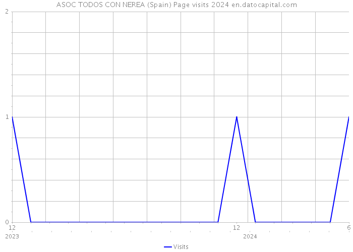 ASOC TODOS CON NEREA (Spain) Page visits 2024 