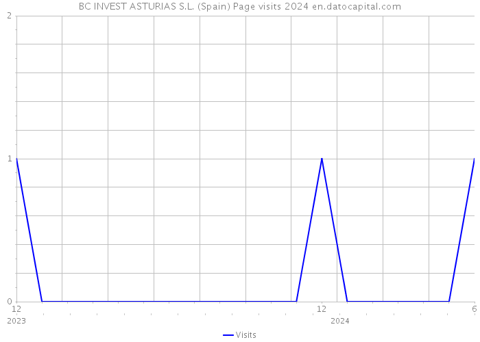 BC INVEST ASTURIAS S.L. (Spain) Page visits 2024 