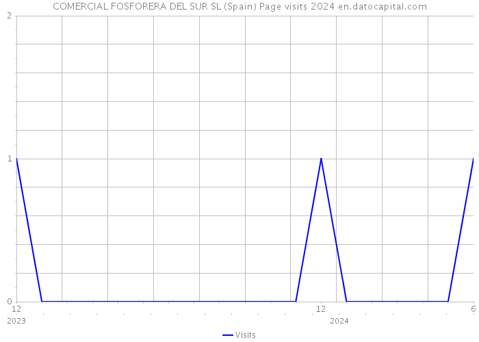 COMERCIAL FOSFORERA DEL SUR SL (Spain) Page visits 2024 