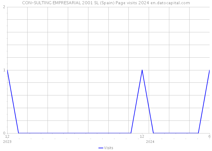 CON-SULTING EMPRESARIAL 2001 SL (Spain) Page visits 2024 