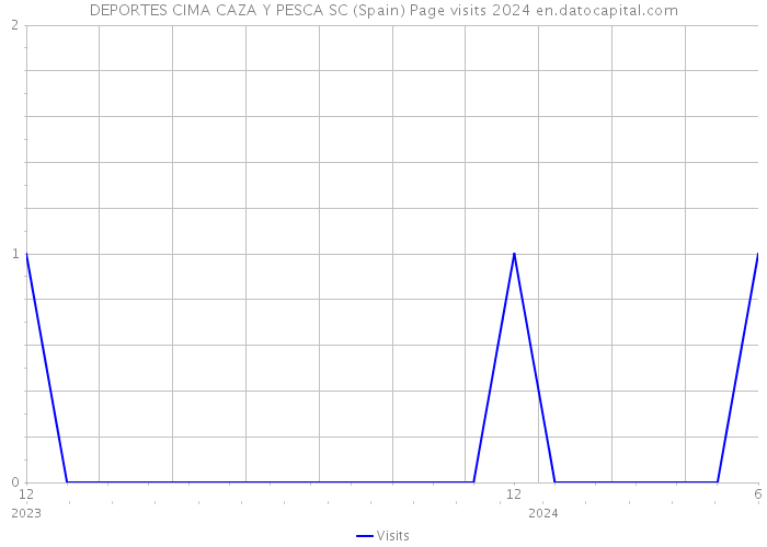 DEPORTES CIMA CAZA Y PESCA SC (Spain) Page visits 2024 