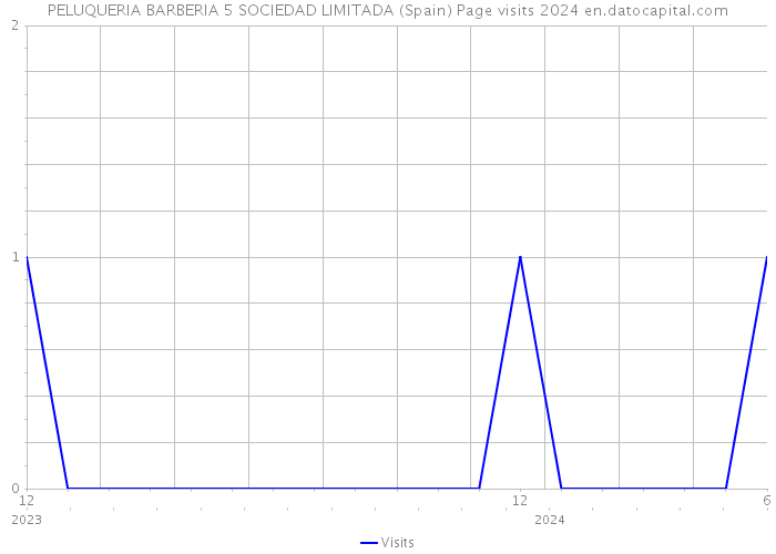 PELUQUERIA BARBERIA 5 SOCIEDAD LIMITADA (Spain) Page visits 2024 