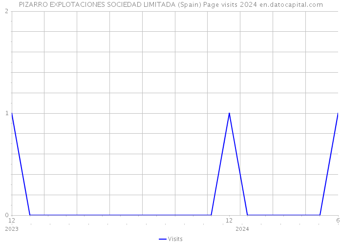 PIZARRO EXPLOTACIONES SOCIEDAD LIMITADA (Spain) Page visits 2024 