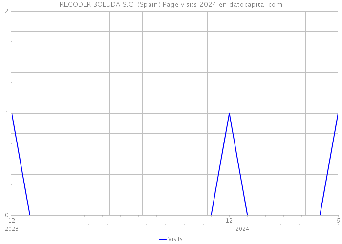 RECODER BOLUDA S.C. (Spain) Page visits 2024 