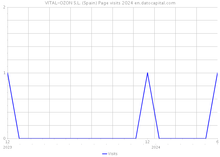 VITAL-OZON S.L. (Spain) Page visits 2024 